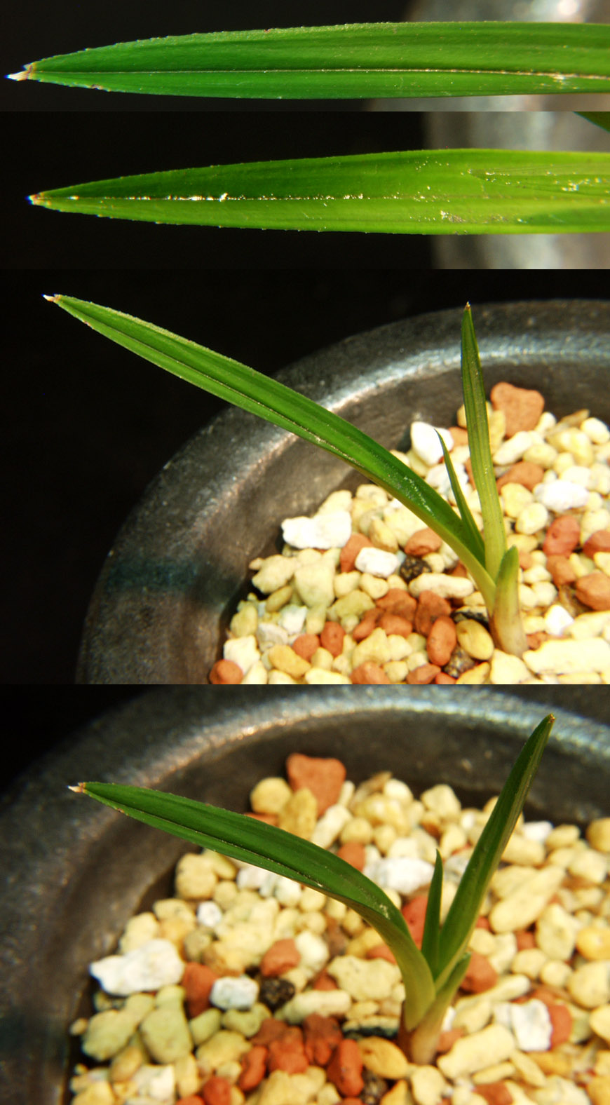 ������ ū������ �� �� �ֽ��ϴ�.