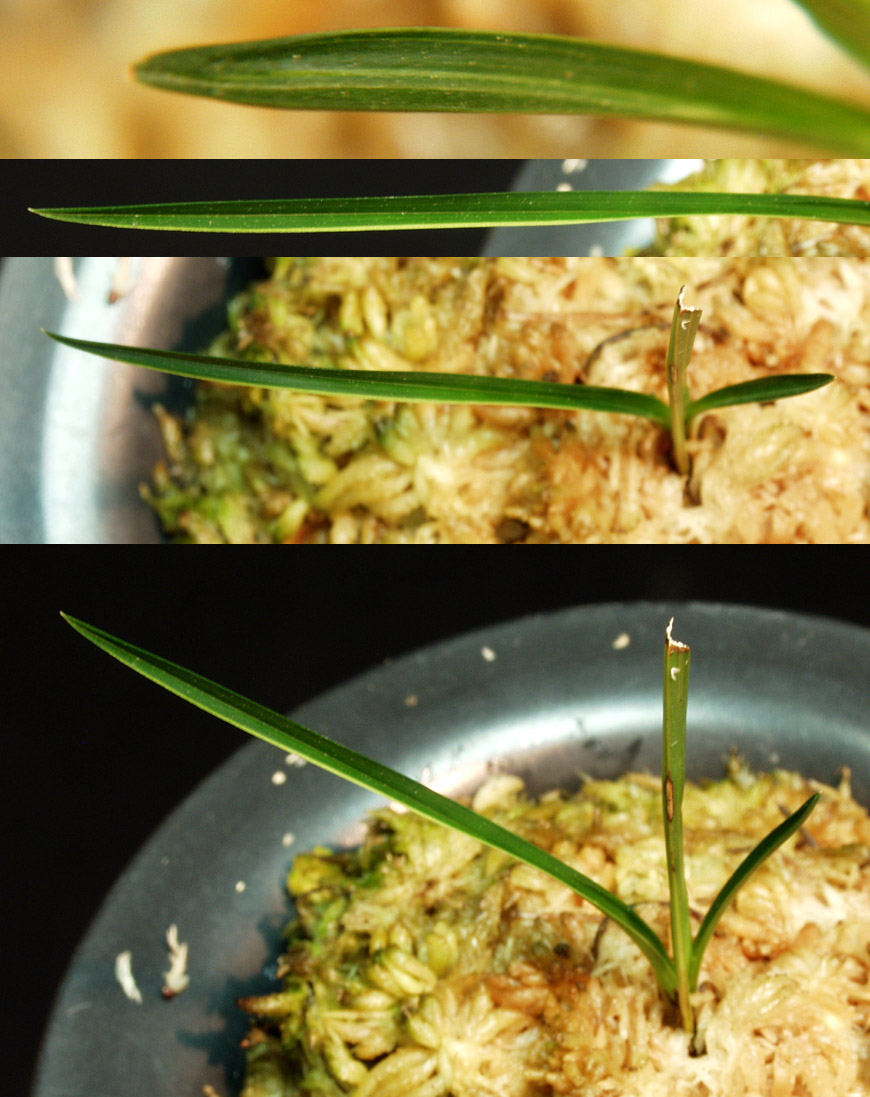 ������ ū������ �� �� �ֽ��ϴ�.