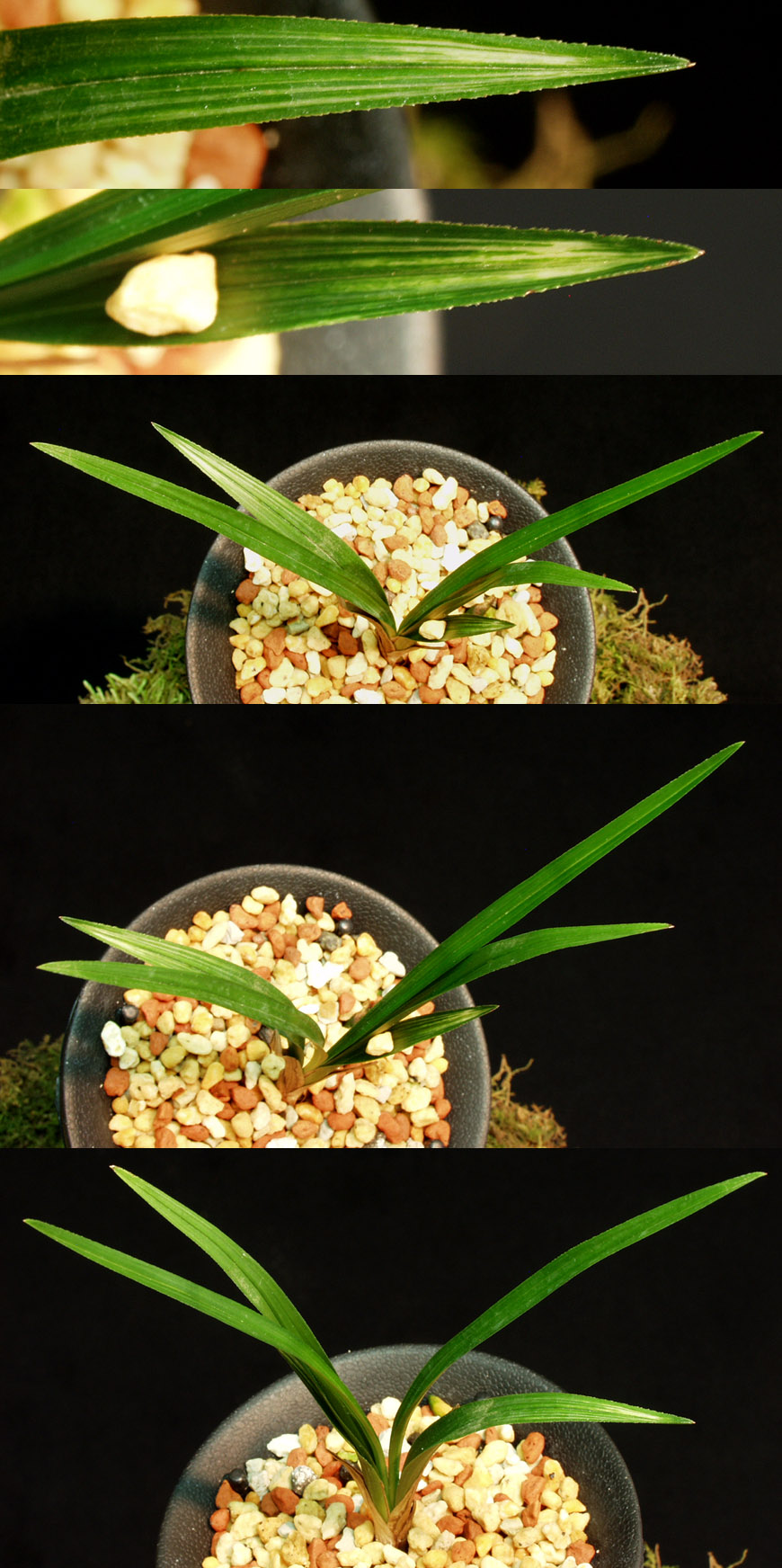 ������ ū������ �� �� �ֽ��ϴ�.