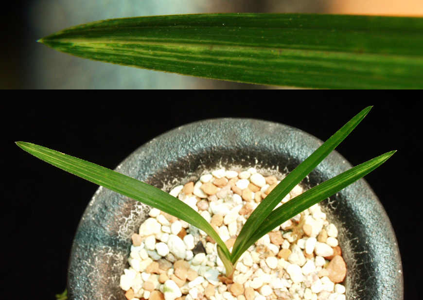 ������ ū������ �� �� �ֽ��ϴ�.