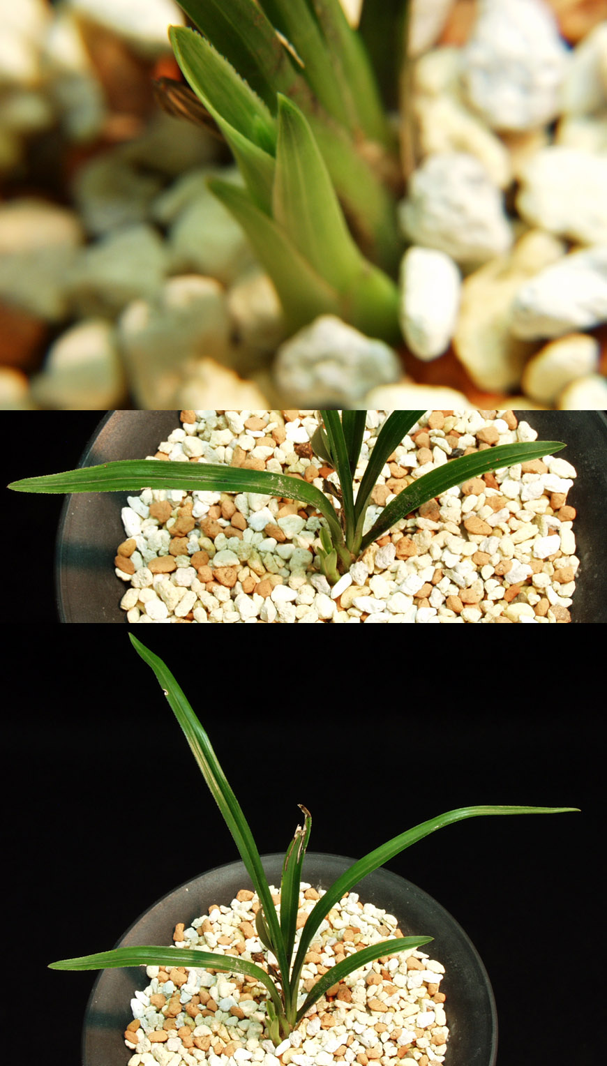 ������ ū������ �� �� �ֽ��ϴ�.