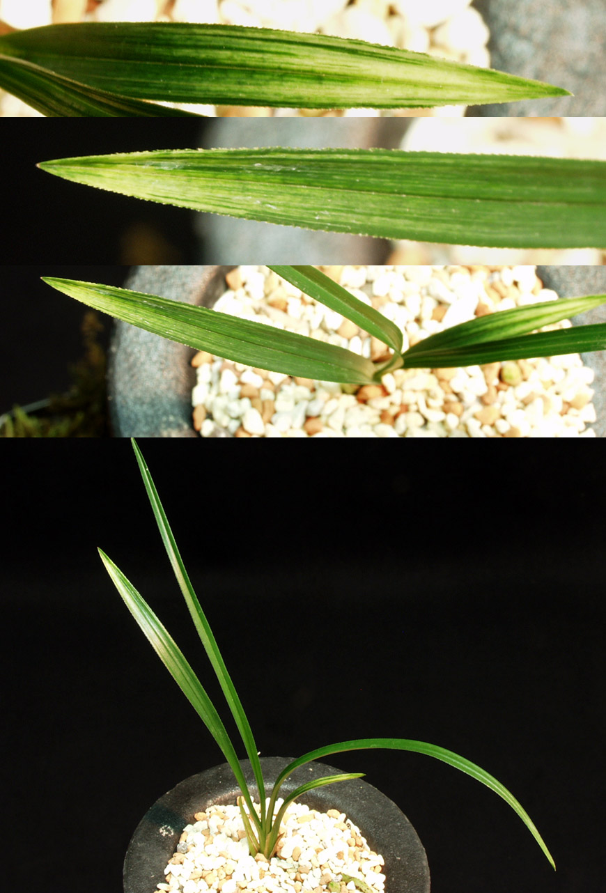 ������ ū������ �� �� �ֽ��ϴ�.