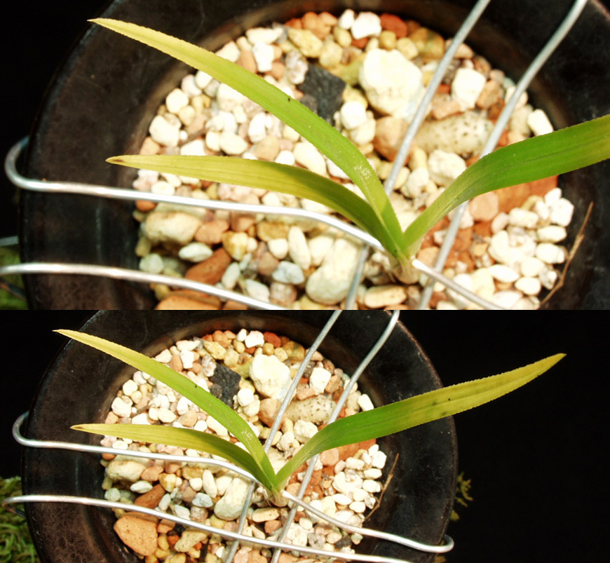 ������ ū������ �� �� �ֽ��ϴ�.