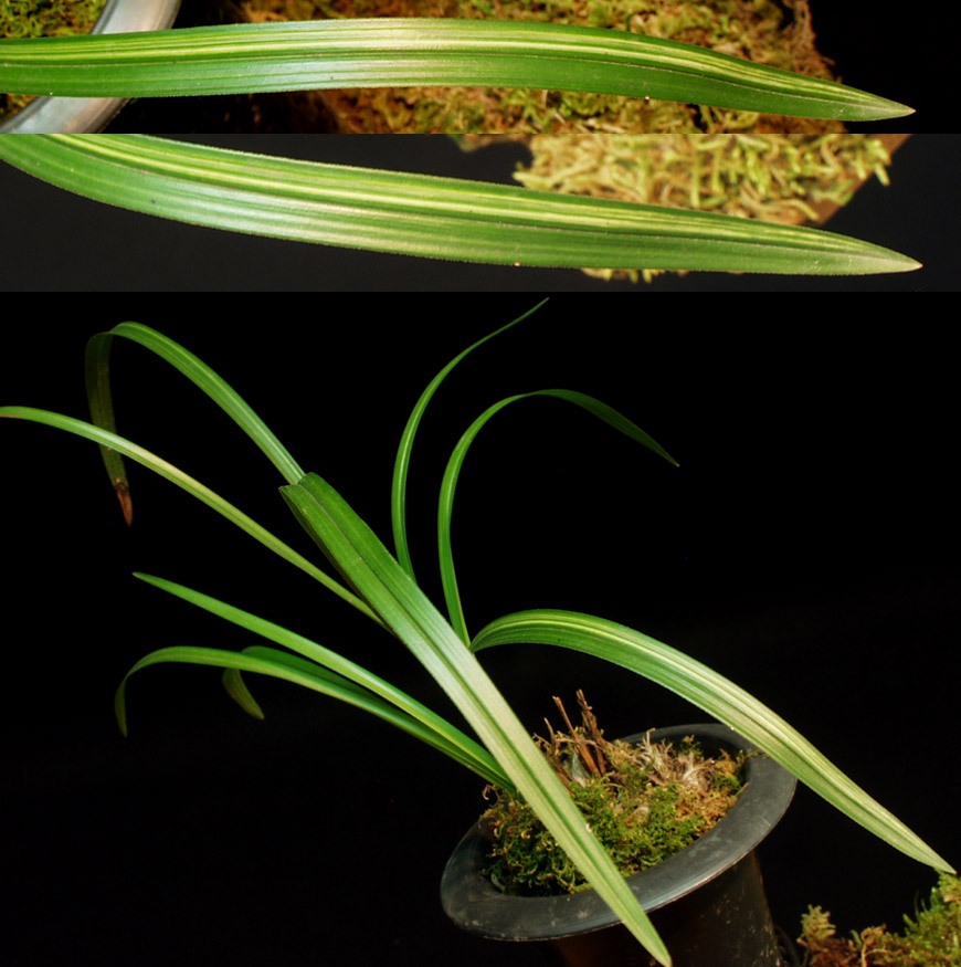 ������ ū������ �� �� �ֽ��ϴ�.