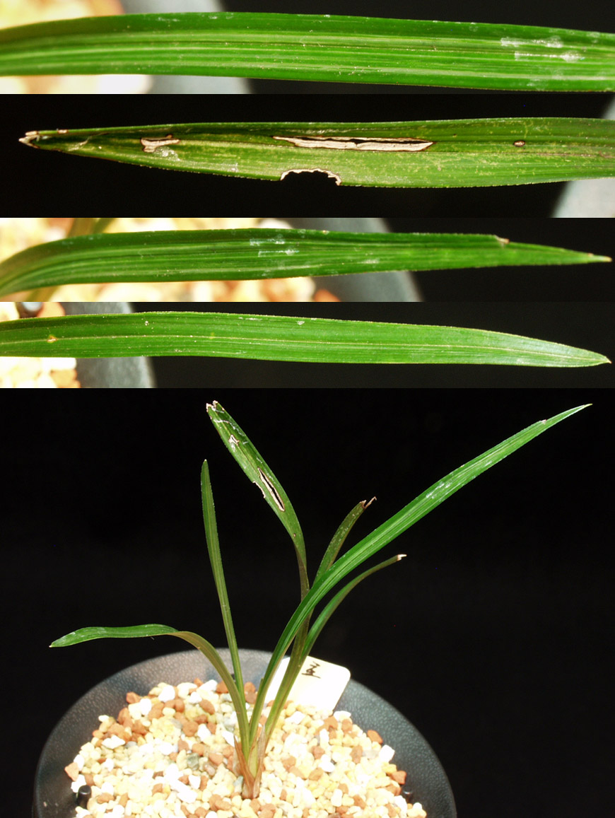 ������ ū������ �� �� �ֽ��ϴ�.