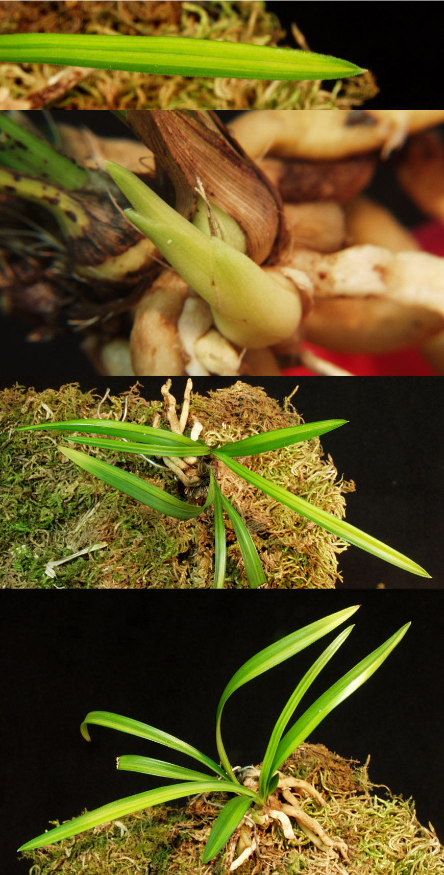 ������ ū������ �� �� �ֽ��ϴ�.