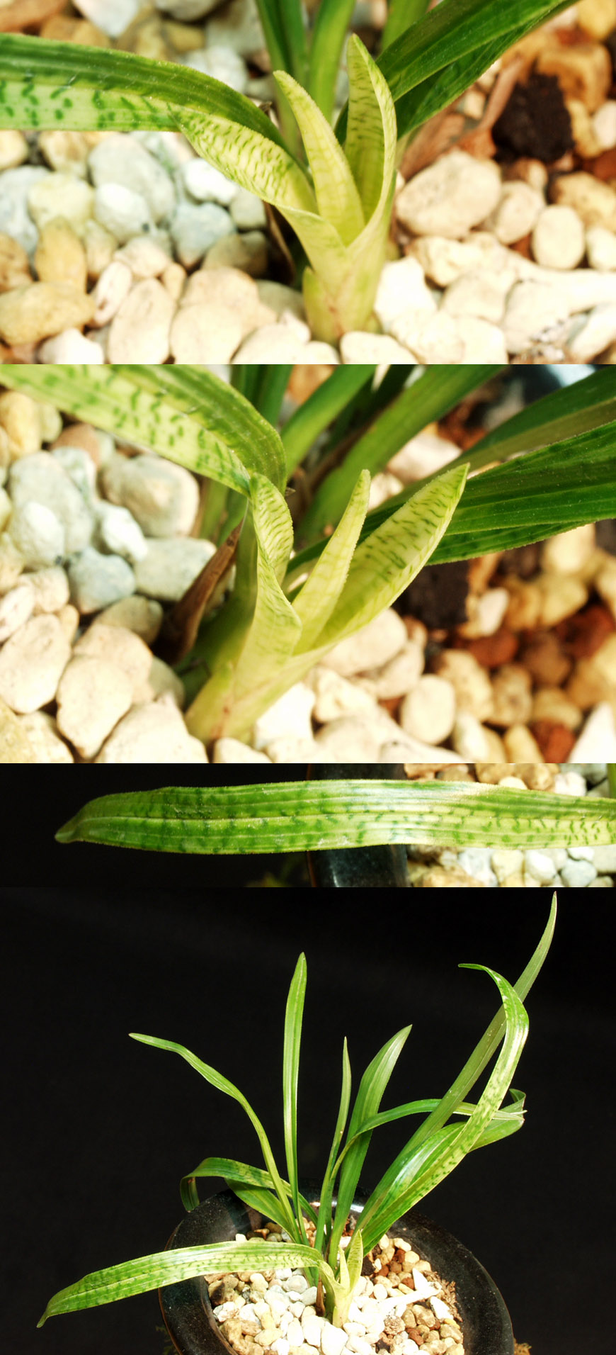 ������ ū������ �� �� �ֽ��ϴ�.