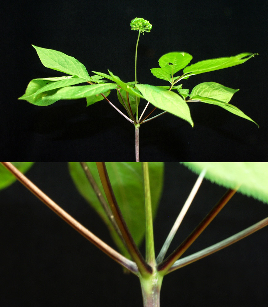 ������ ū������ �� �� �ֽ��ϴ�.