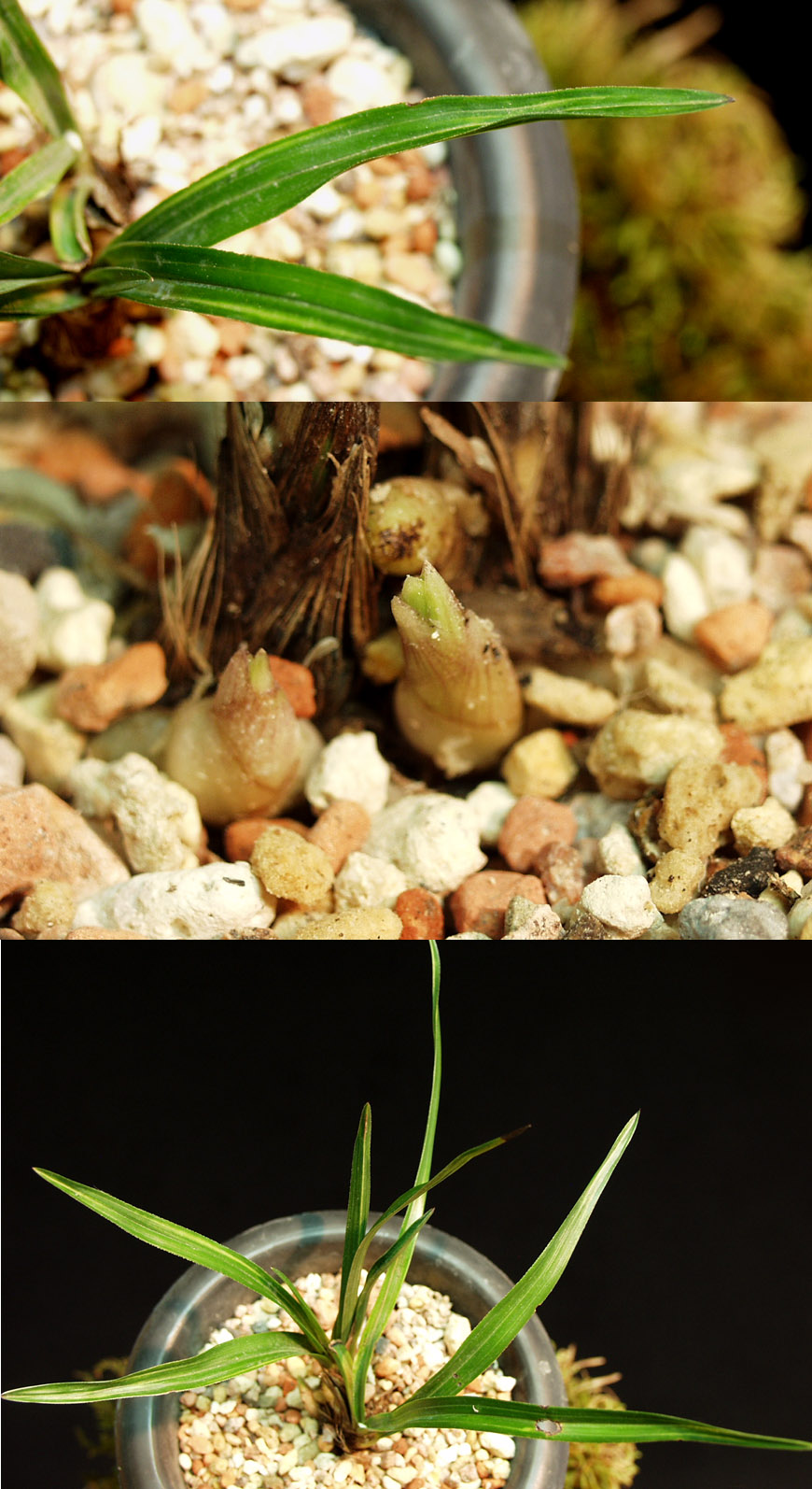 ������ ū������ �� �� �ֽ��ϴ�.