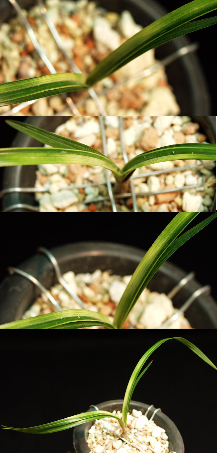 ������ ū������ �� �� �ֽ��ϴ�.