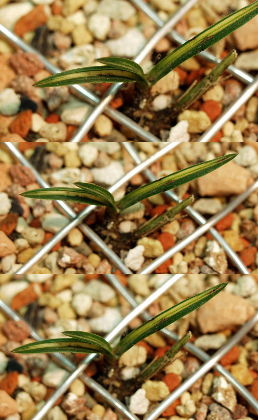 ������ ū������ �� �� �ֽ��ϴ�.