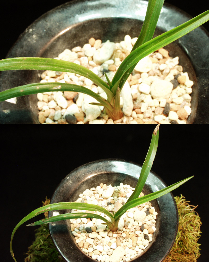 ������ ū������ �� �� �ֽ��ϴ�.