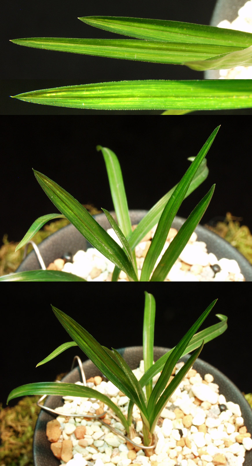 ������ ū������ �� �� �ֽ��ϴ�.