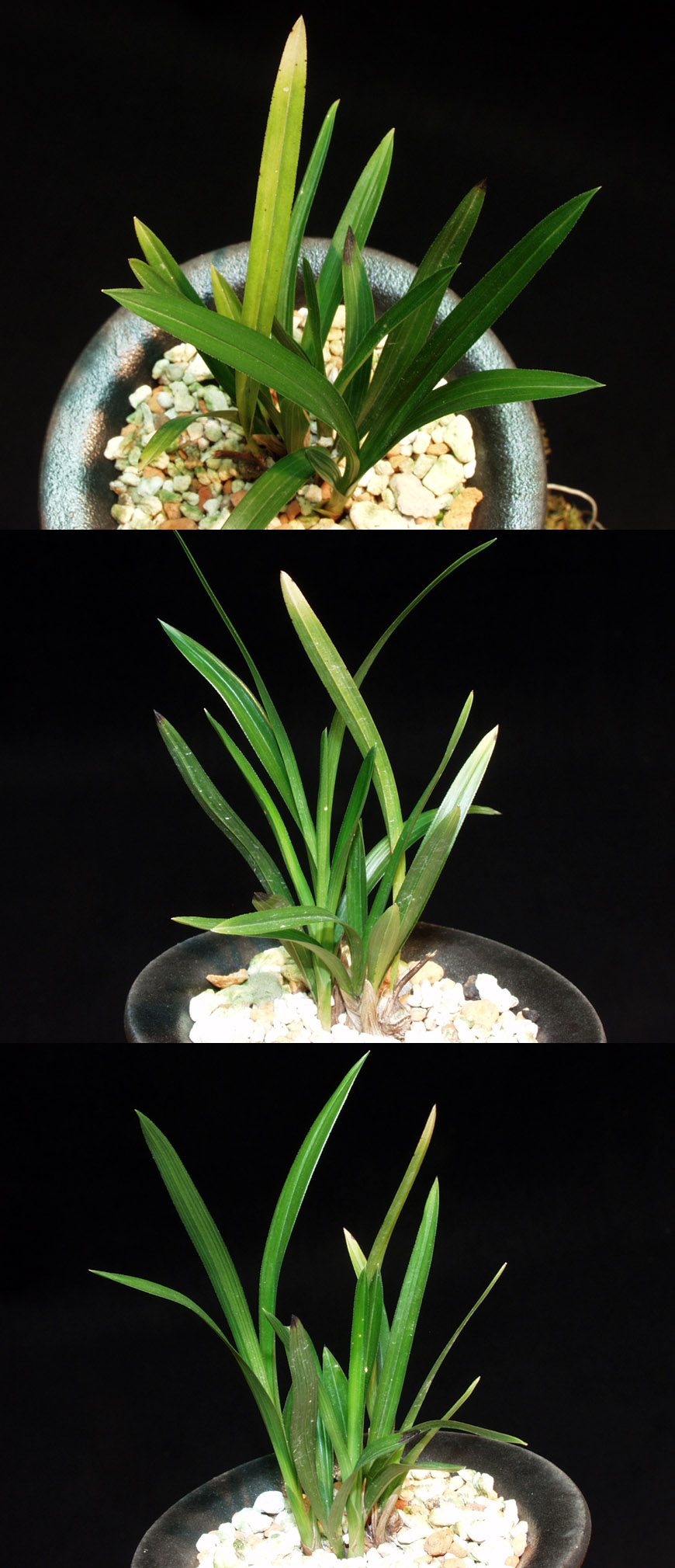 ������ ū������ �� �� �ֽ��ϴ�.