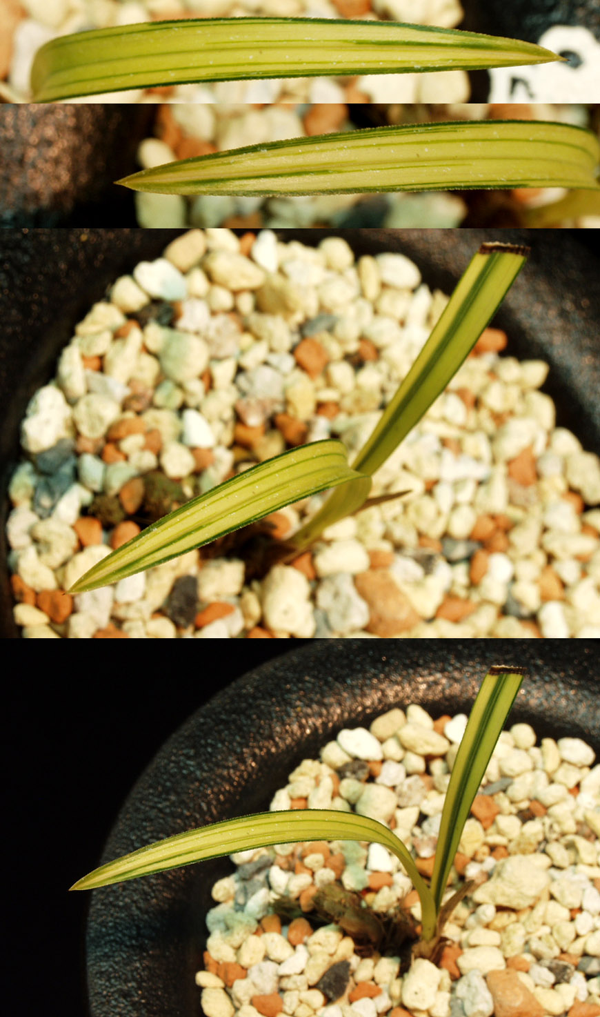 ������ ū������ �� �� �ֽ��ϴ�.