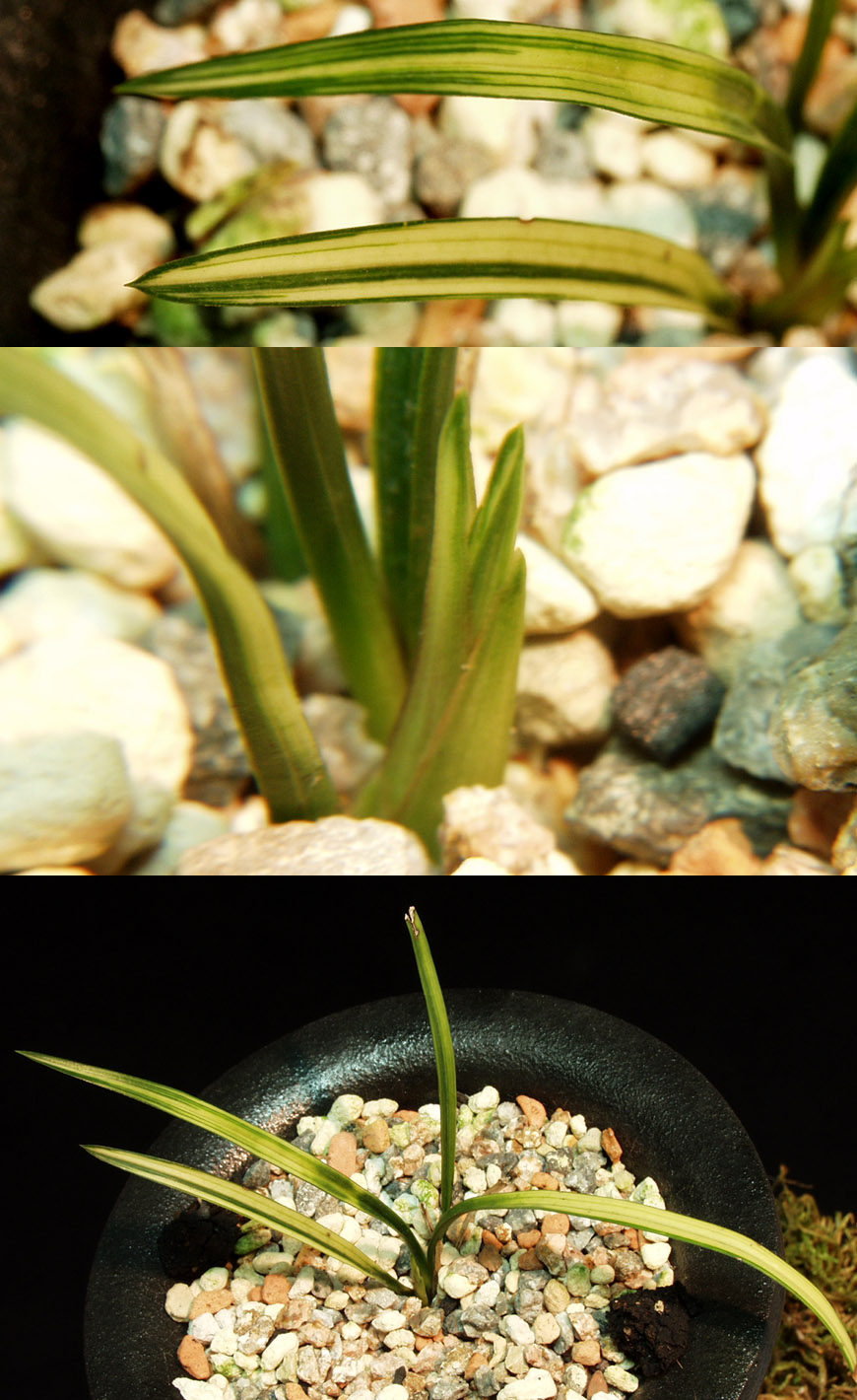 ������ ū������ �� �� �ֽ��ϴ�.