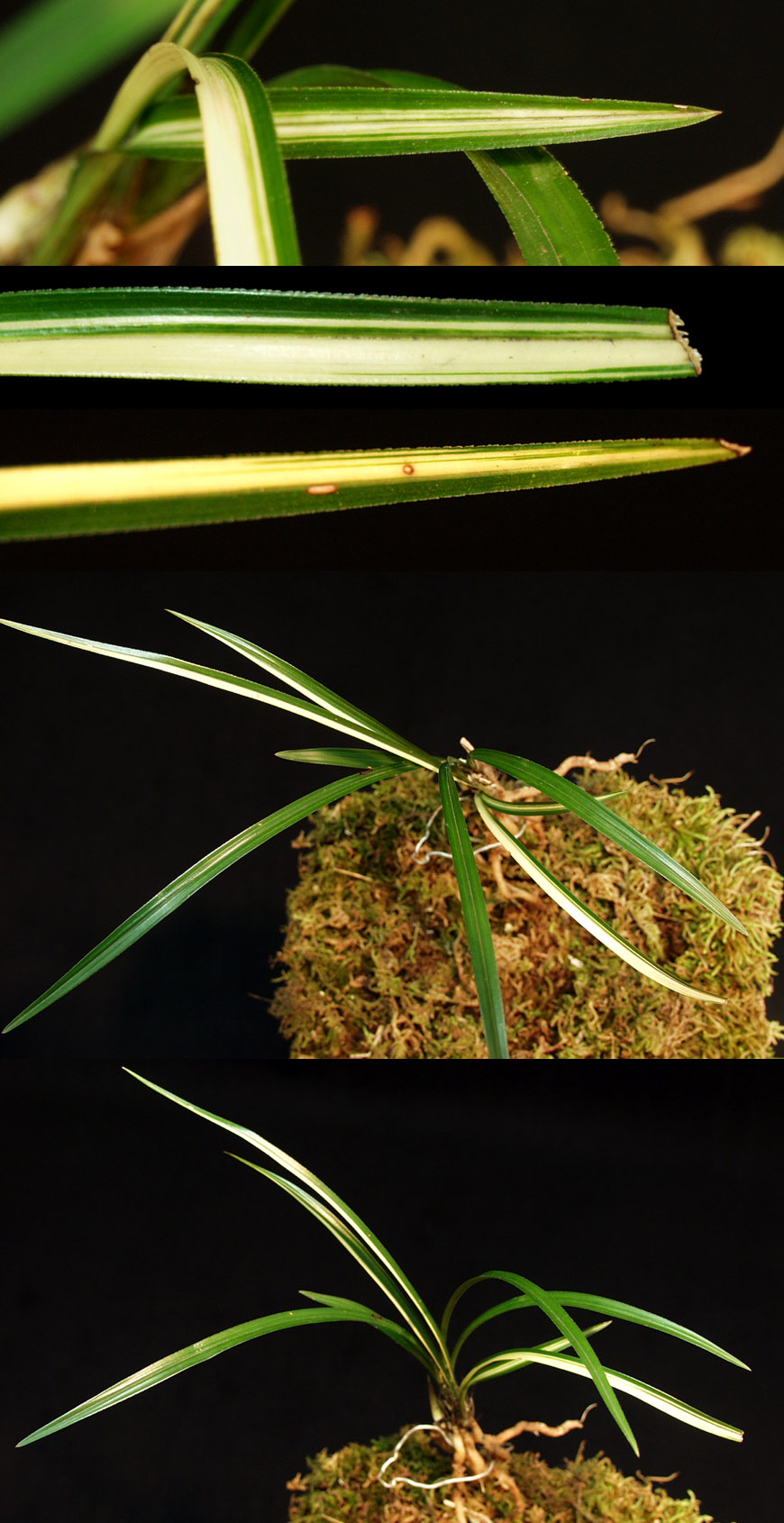 ������ ū������ �� �� �ֽ��ϴ�.