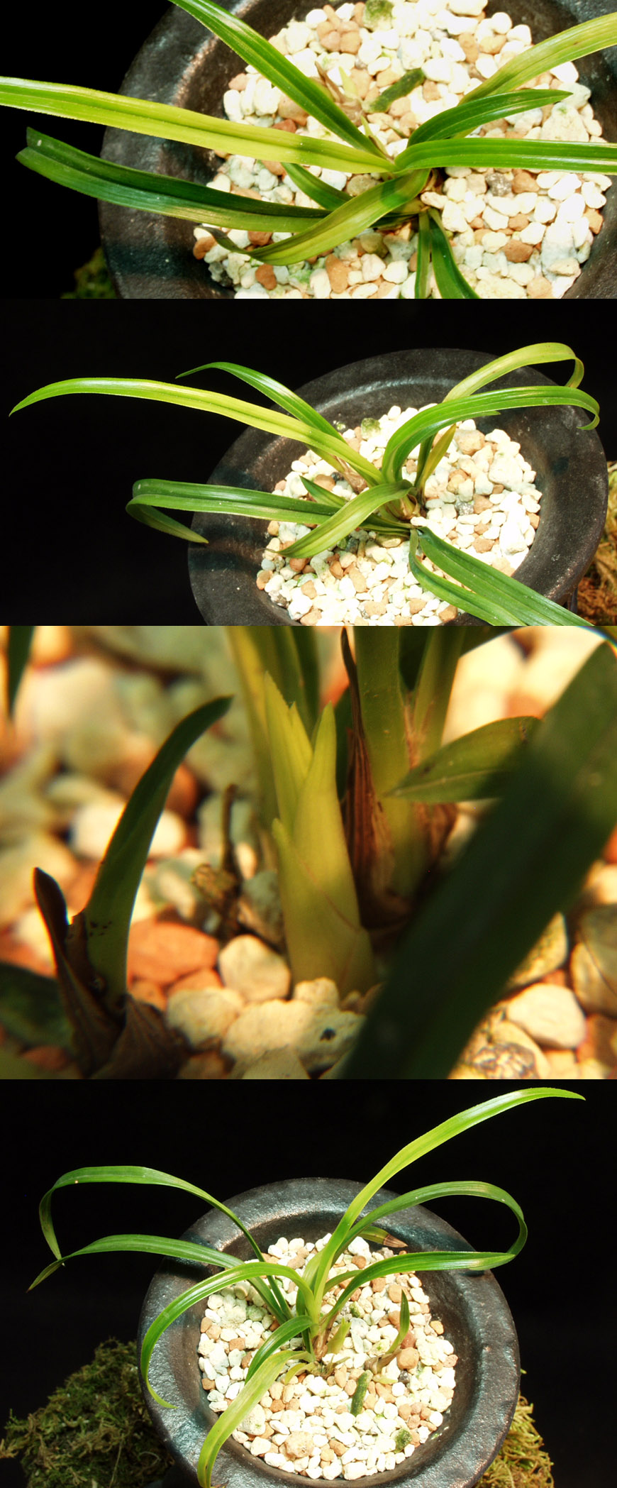 ������ ū������ �� �� �ֽ��ϴ�.