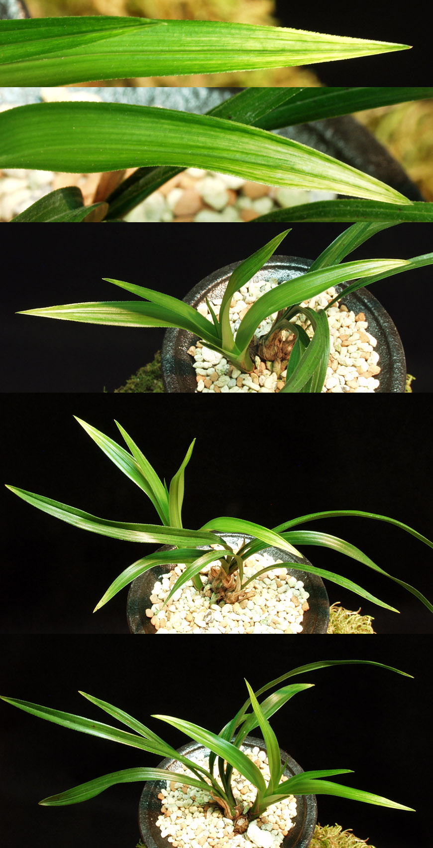 ������ ū������ �� �� �ֽ��ϴ�.