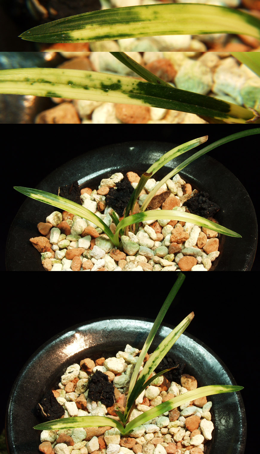 ������ ū������ �� �� �ֽ��ϴ�.