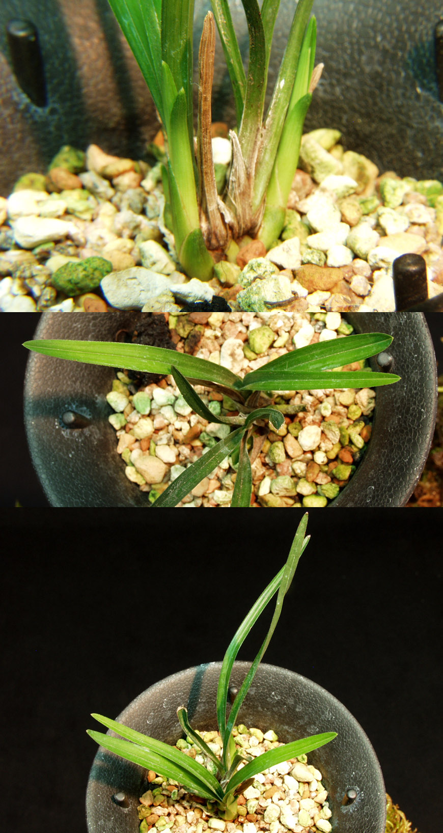 ������ ū������ �� �� �ֽ��ϴ�.