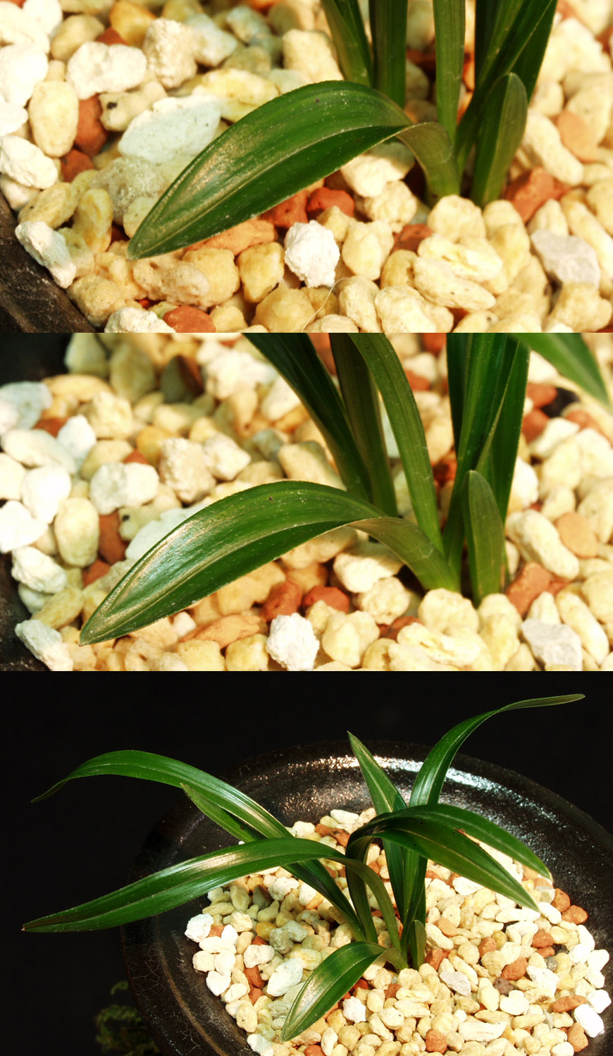 ������ ū������ �� �� �ֽ��ϴ�.