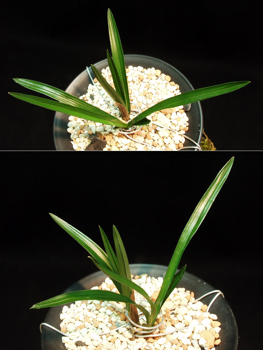 ������ ū������ �� �� �ֽ��ϴ�.