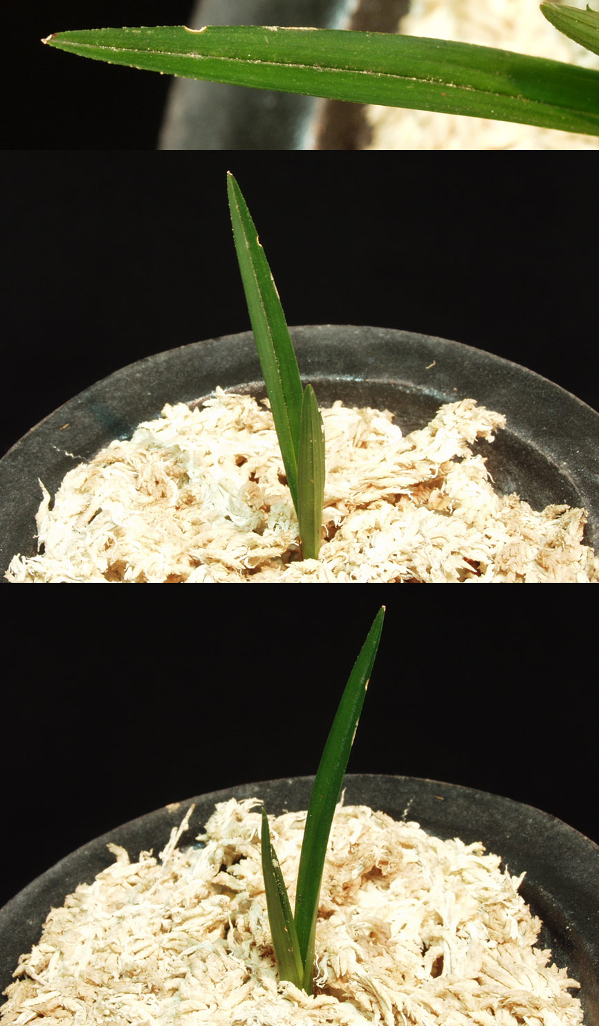 ������ ū������ �� �� �ֽ��ϴ�.