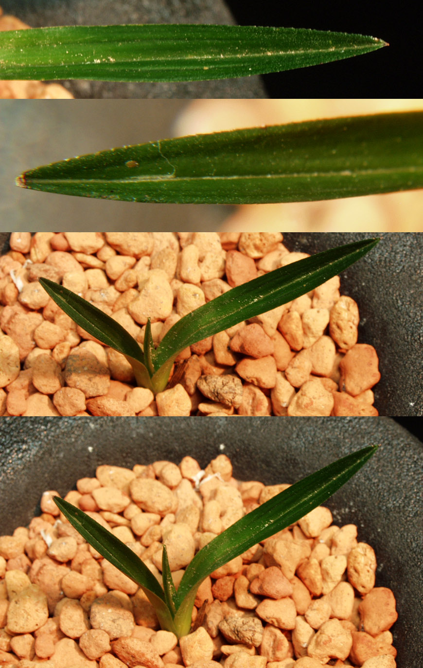 ������ ū������ �� �� �ֽ��ϴ�.