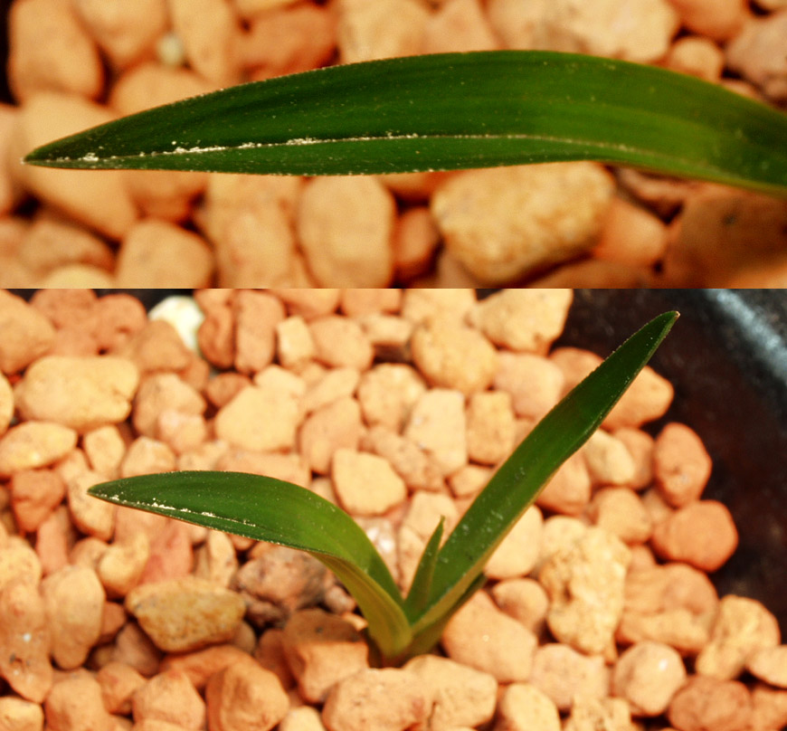 ������ ū������ �� �� �ֽ��ϴ�.