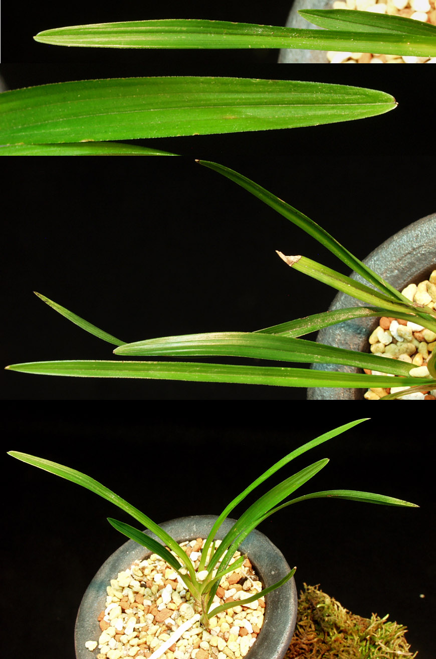 ������ ū������ �� �� �ֽ��ϴ�.