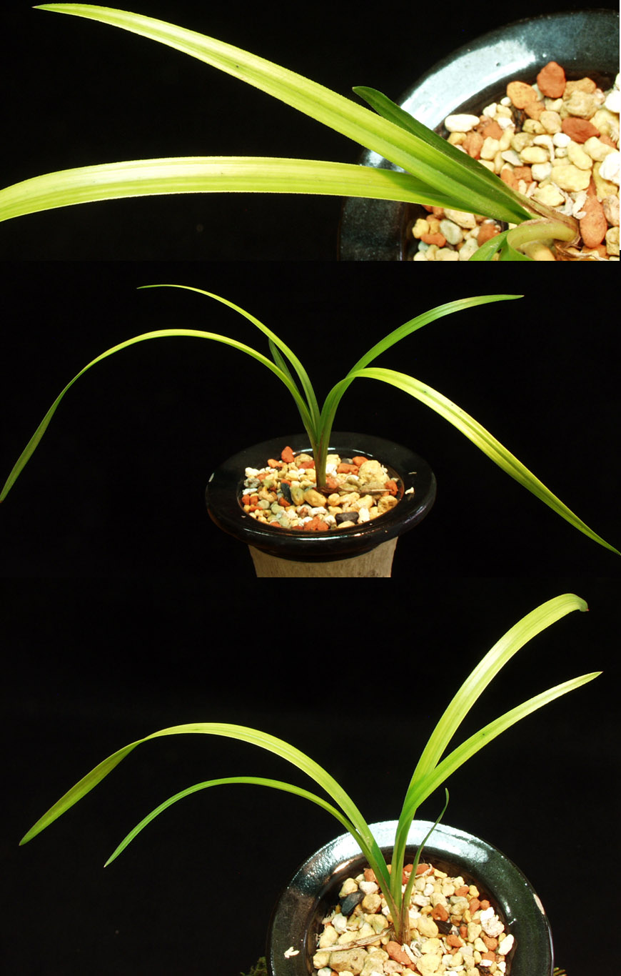 ������ ū������ �� �� �ֽ��ϴ�.