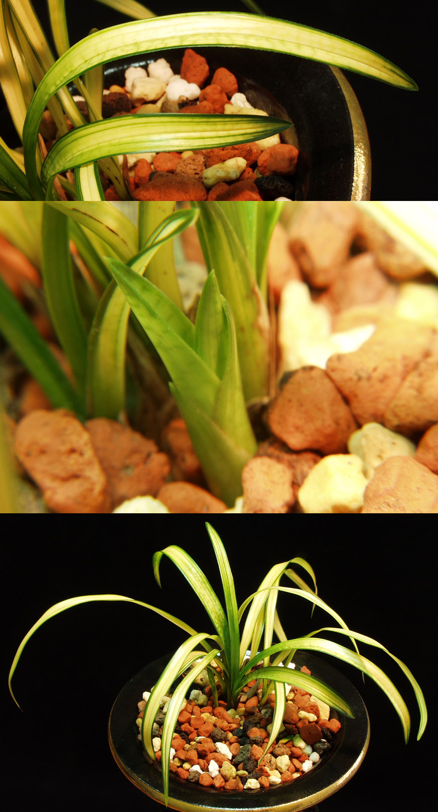 ������ ū������ �� �� �ֽ��ϴ�.