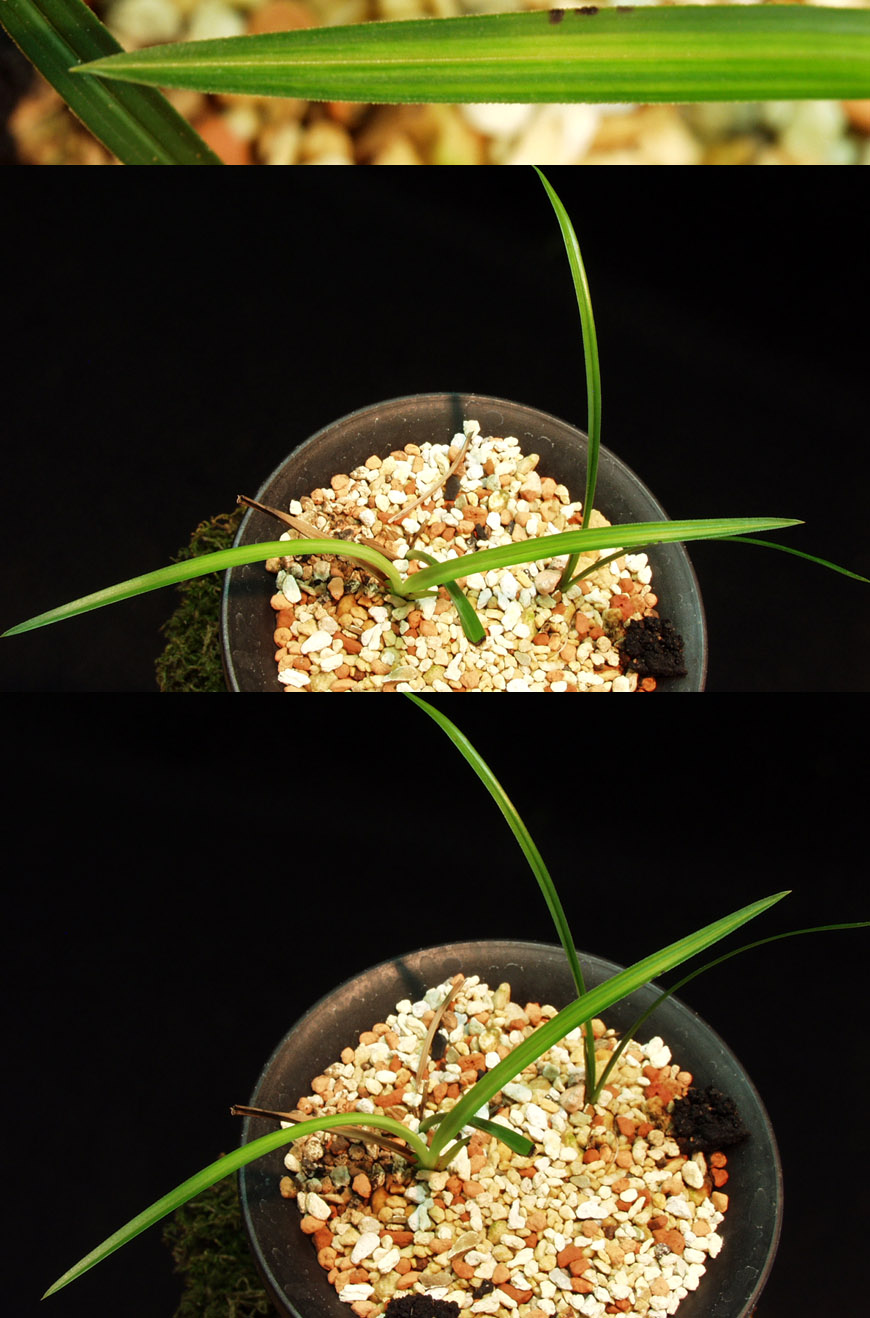 ������ ū������ �� �� �ֽ��ϴ�.