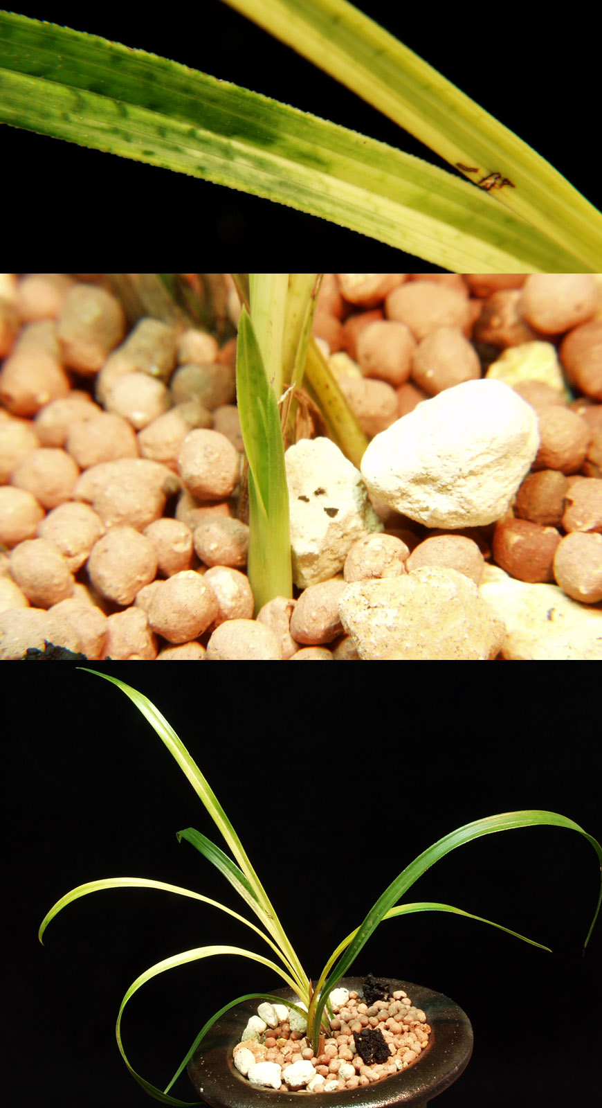 ������ ū������ �� �� �ֽ��ϴ�.