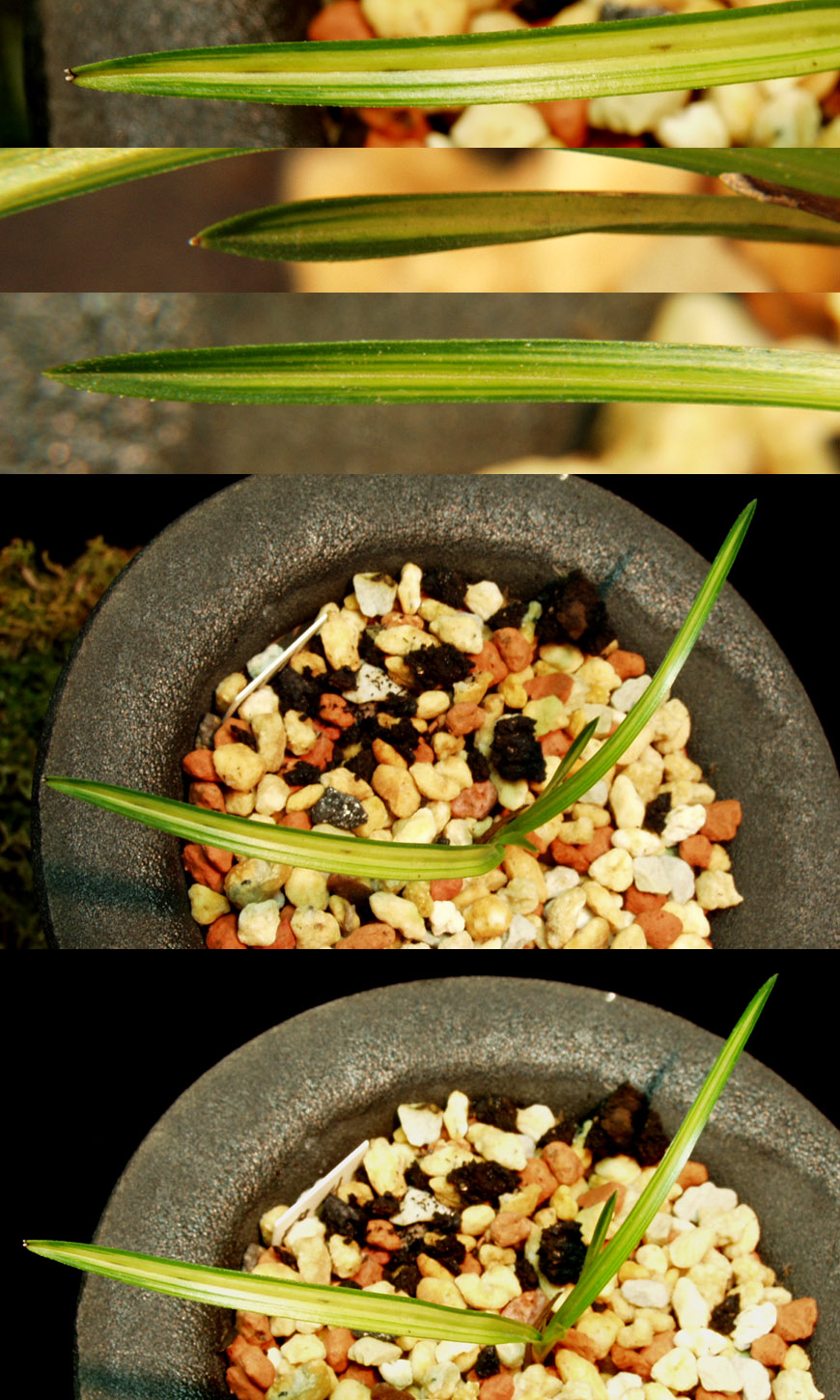 ������ ū������ �� �� �ֽ��ϴ�.