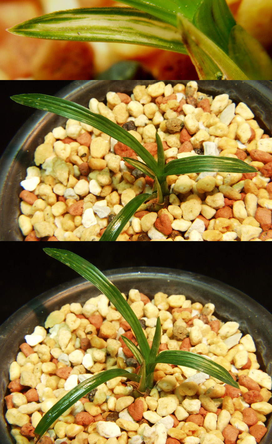 ������ ū������ �� �� �ֽ��ϴ�.