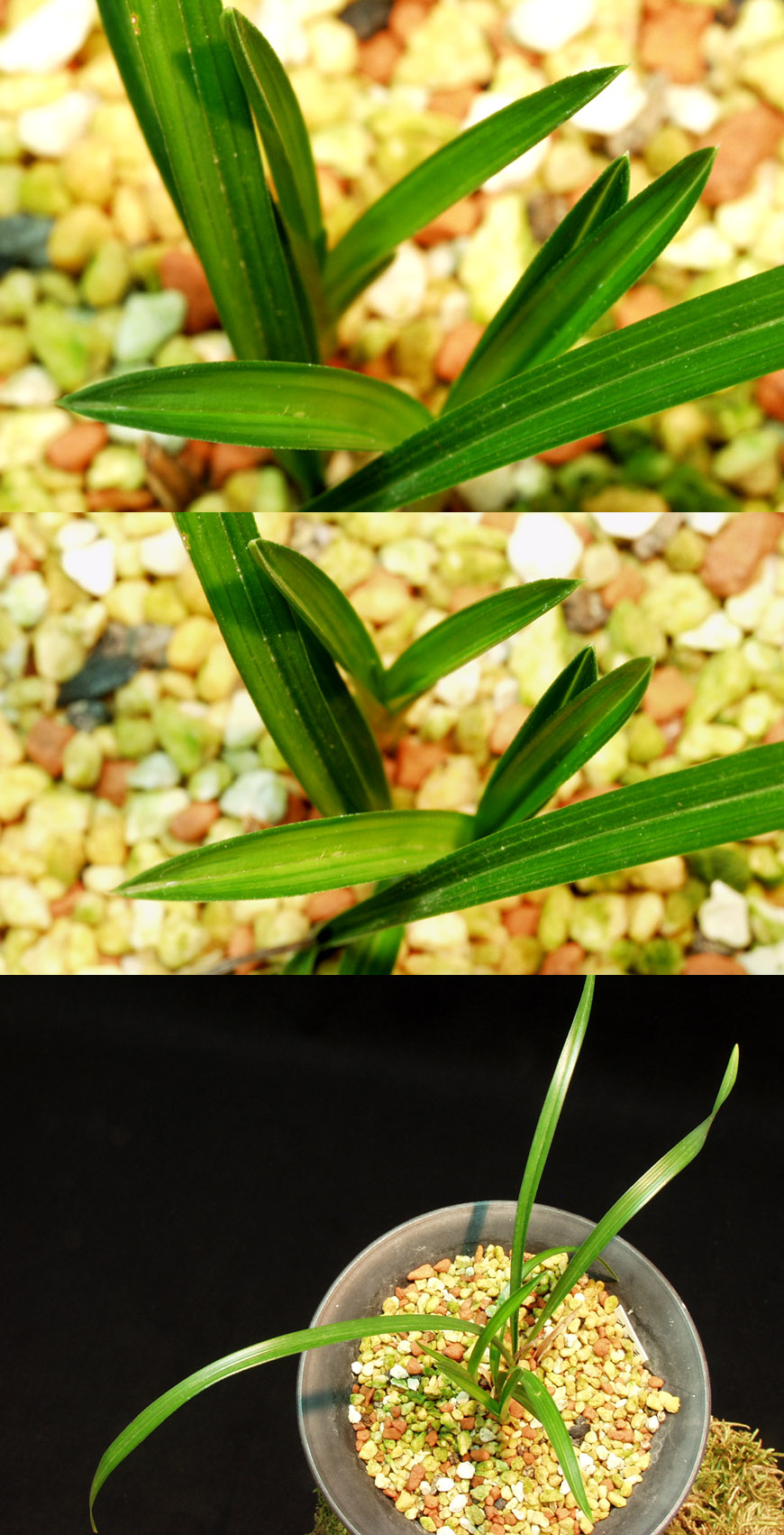 ������ ū������ �� �� �ֽ��ϴ�.