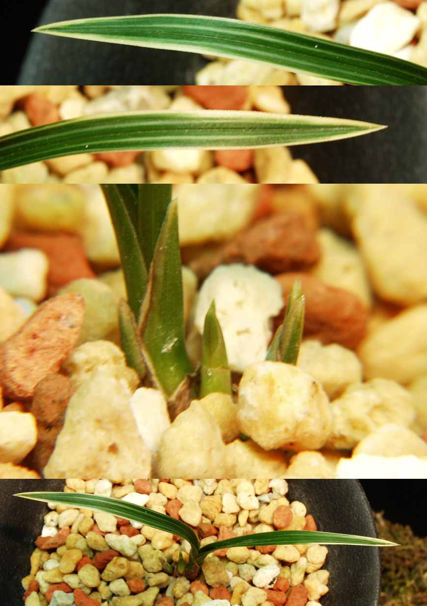 ������ ū������ �� �� �ֽ��ϴ�.