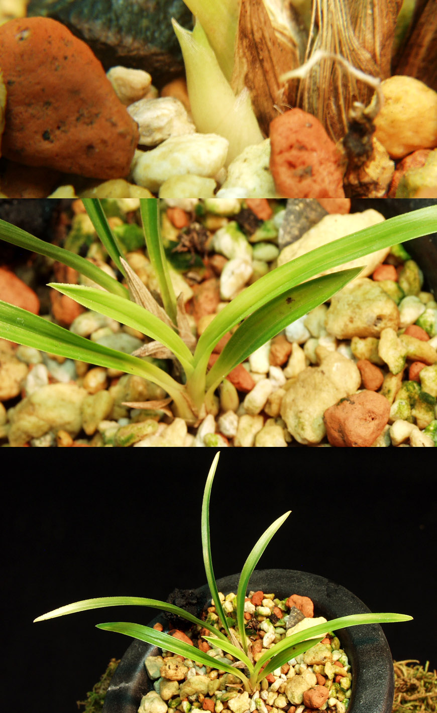 ������ ū������ �� �� �ֽ��ϴ�.