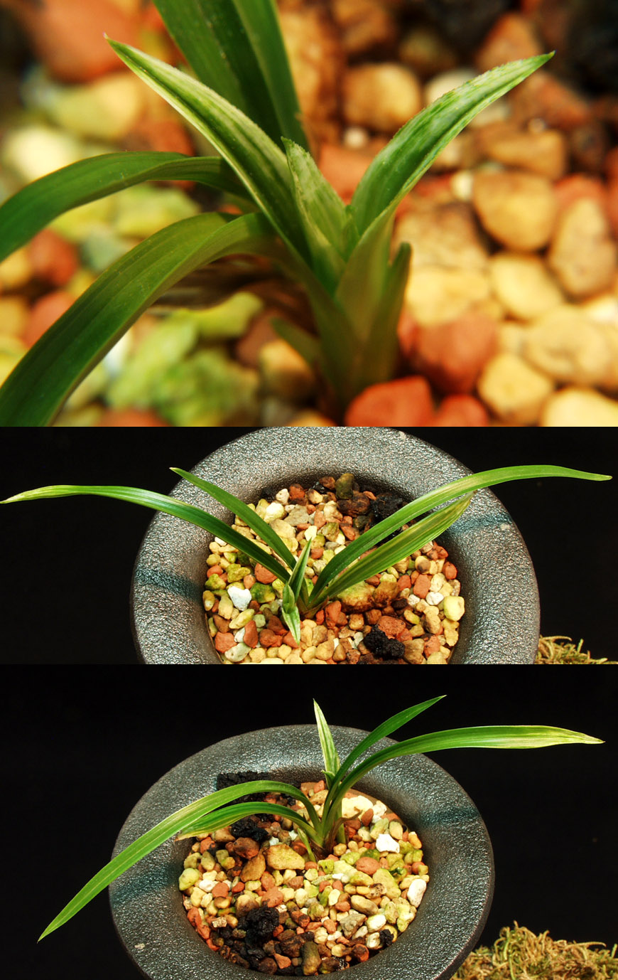 ������ ū������ �� �� �ֽ��ϴ�.