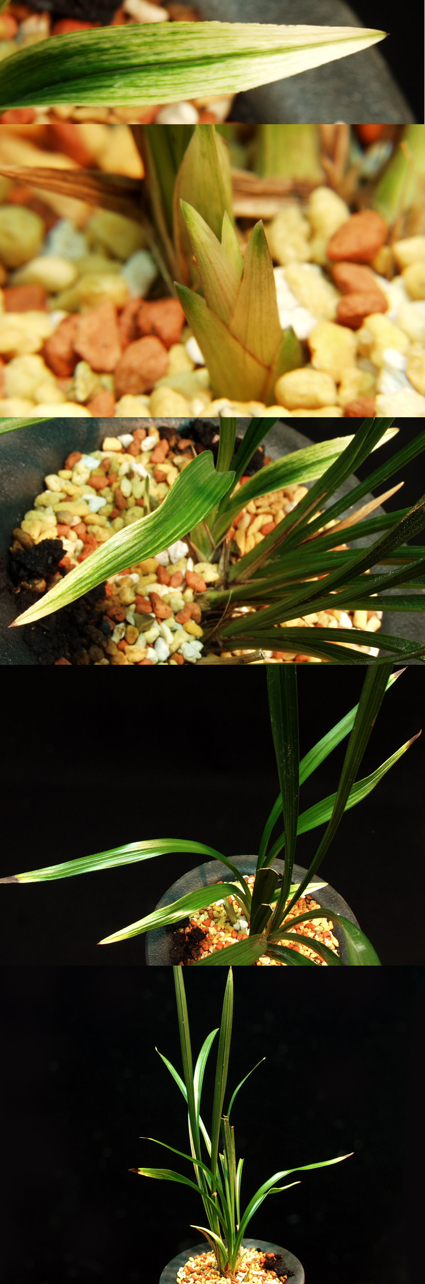 ������ ū������ �� �� �ֽ��ϴ�.