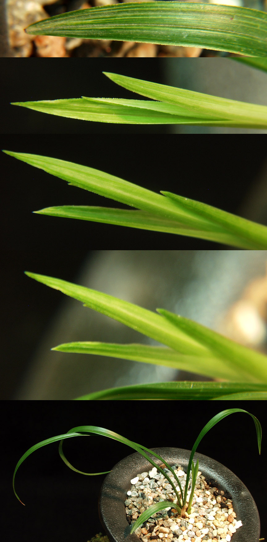 ������ ū������ �� �� �ֽ��ϴ�.