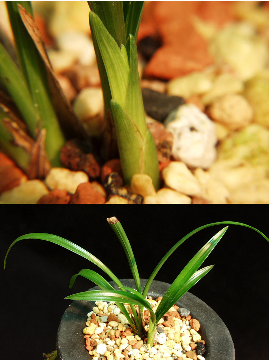 ������ ū������ �� �� �ֽ��ϴ�.