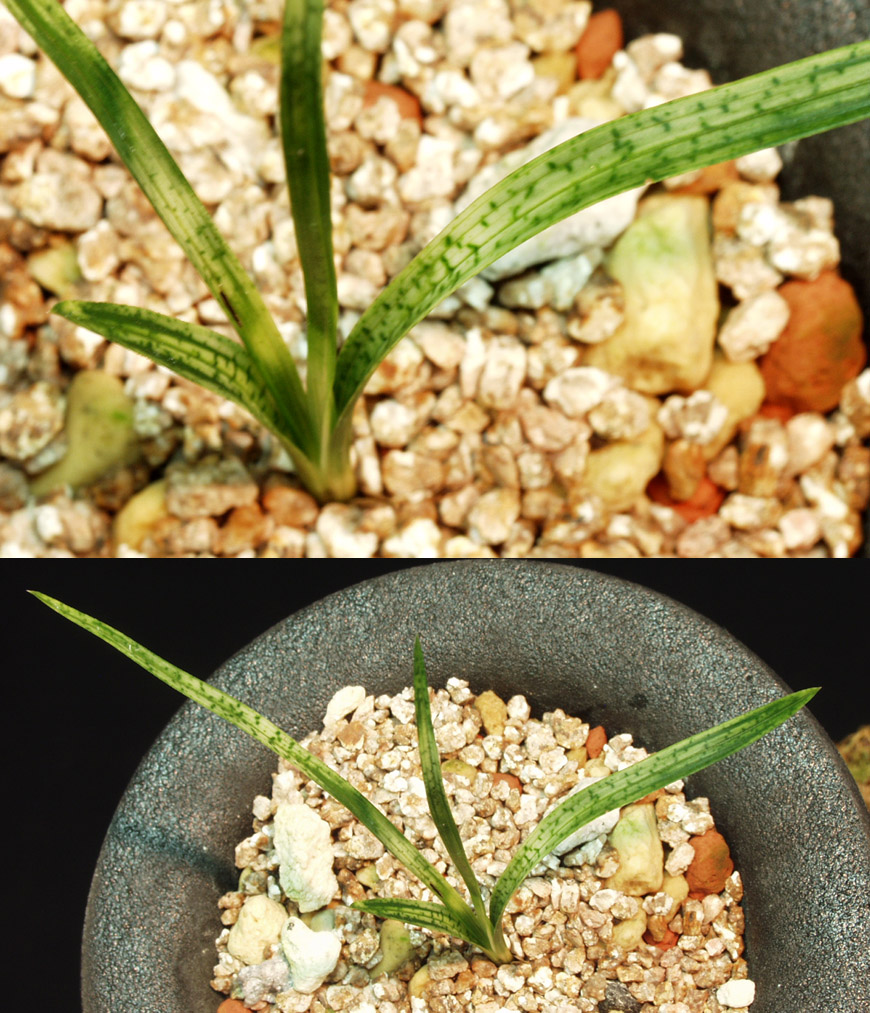 ������ ū������ �� �� �ֽ��ϴ�.