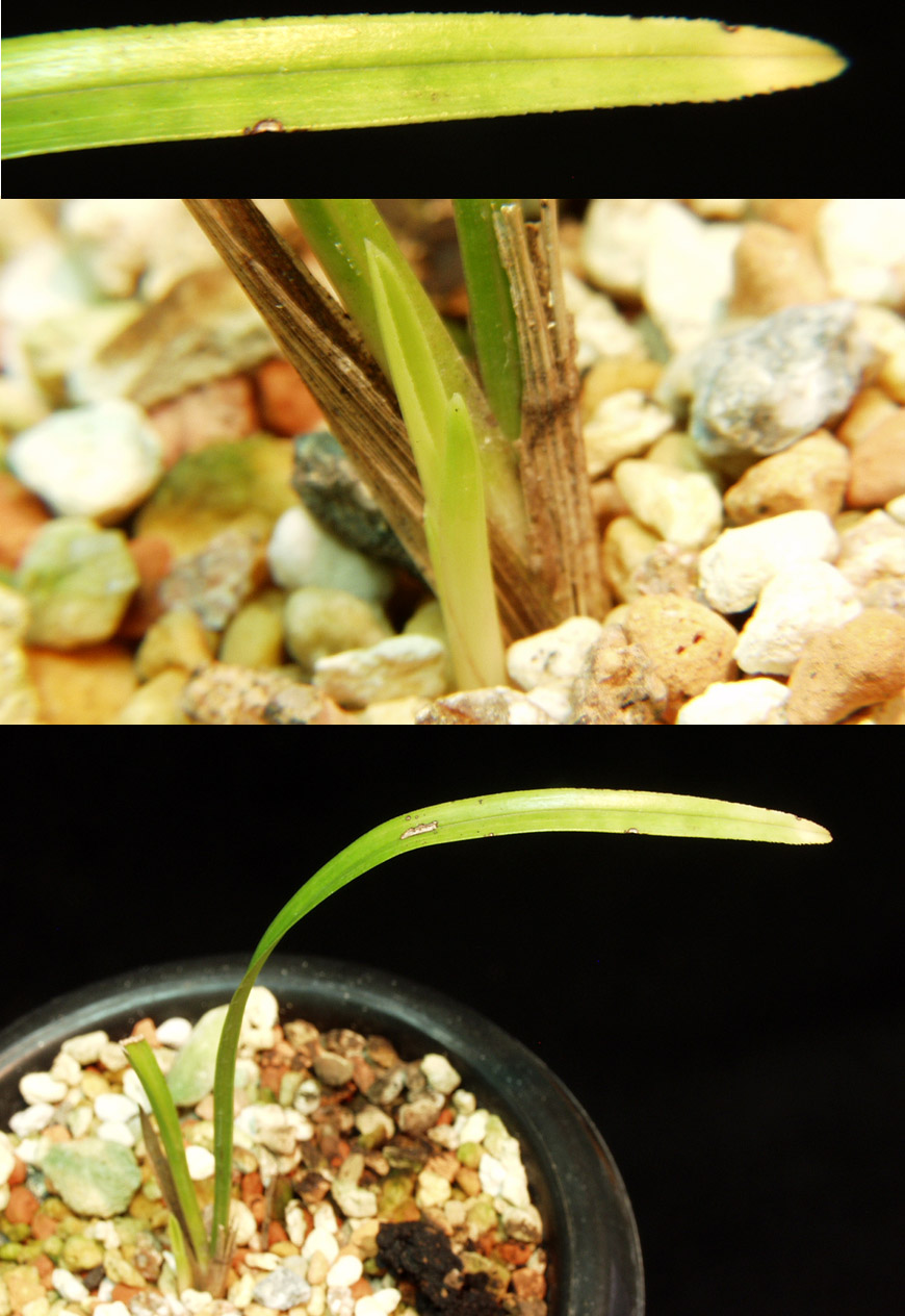 ������ ū������ �� �� �ֽ��ϴ�.