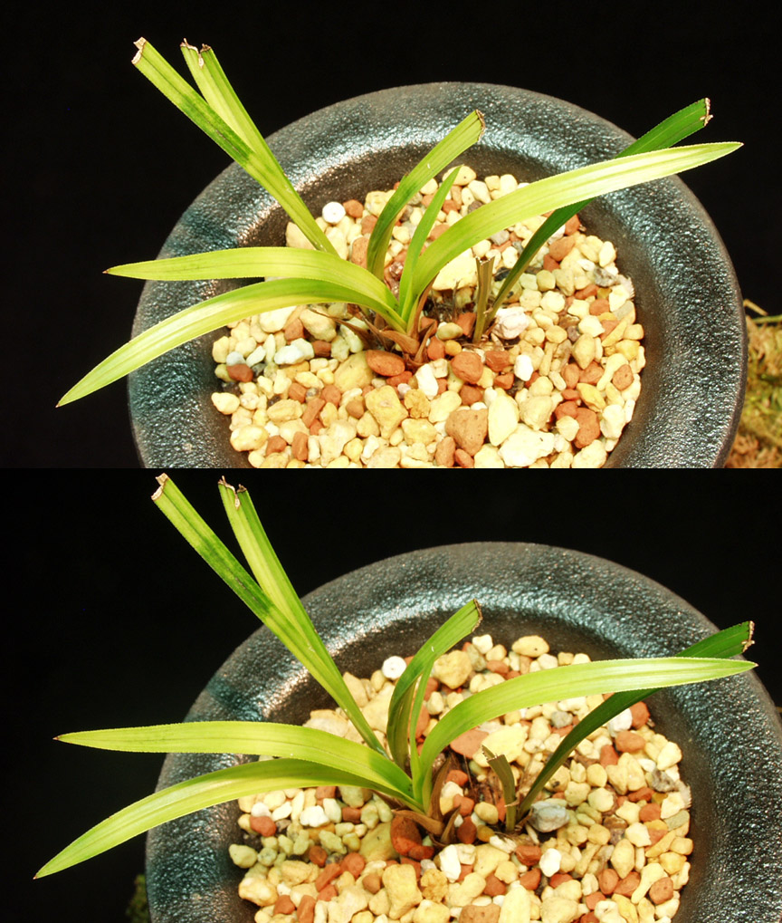 ������ ū������ �� �� �ֽ��ϴ�.