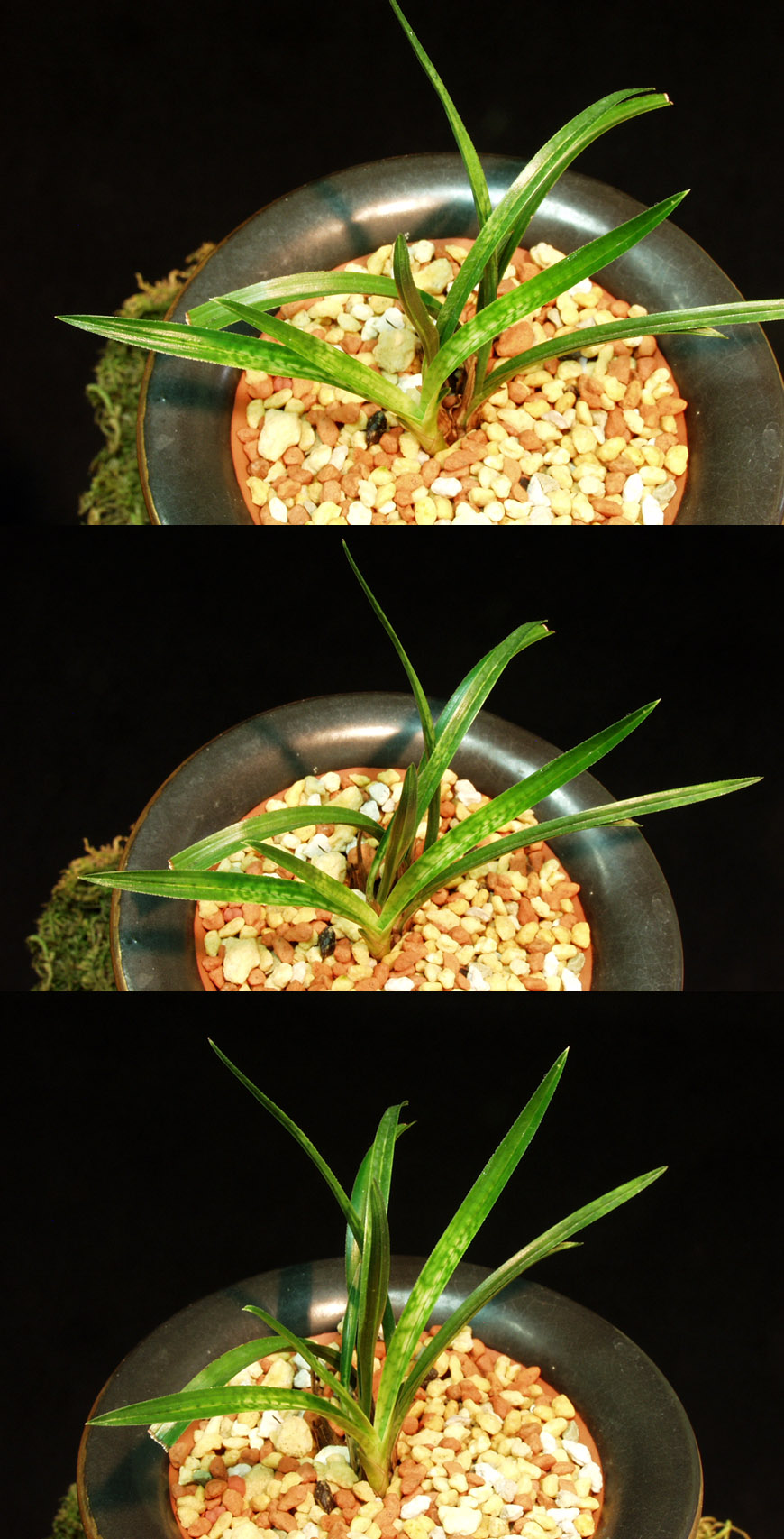 ������ ū������ �� �� �ֽ��ϴ�.