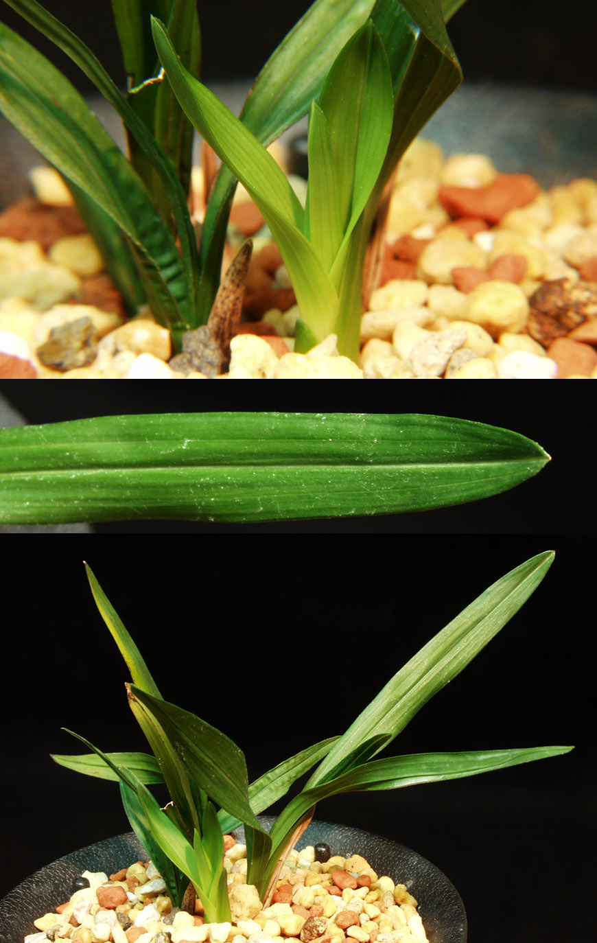 ������ ū������ �� �� �ֽ��ϴ�.