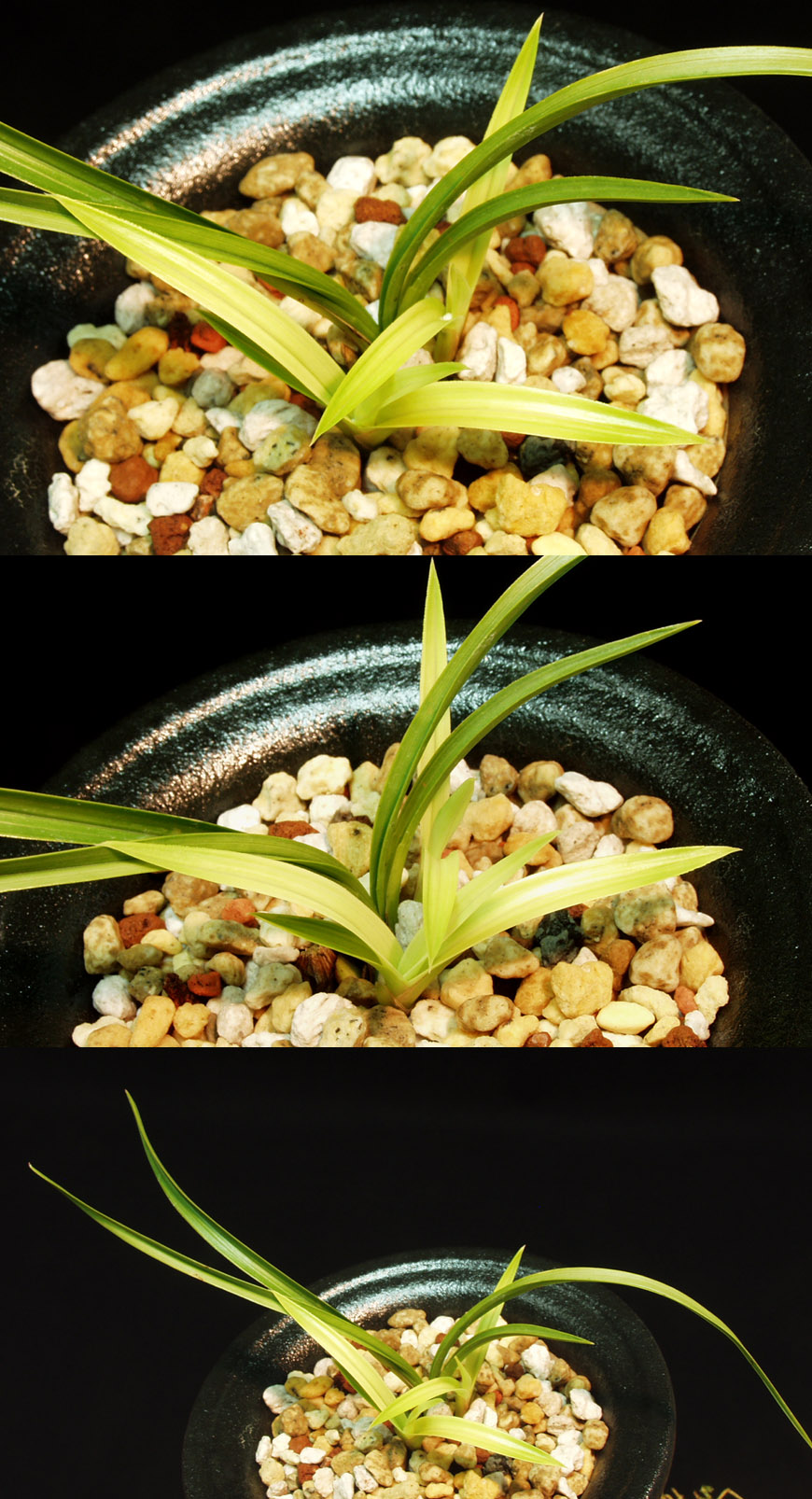 ������ ū������ �� �� �ֽ��ϴ�.